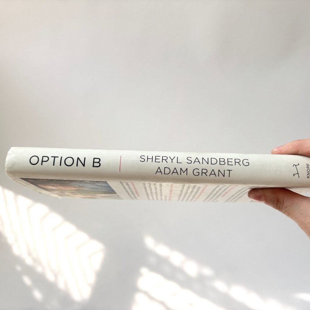 Option B: Facing Adversity, Building Resilience, & Finding Joy - Sheryl & Adam - Picture 7 of 7